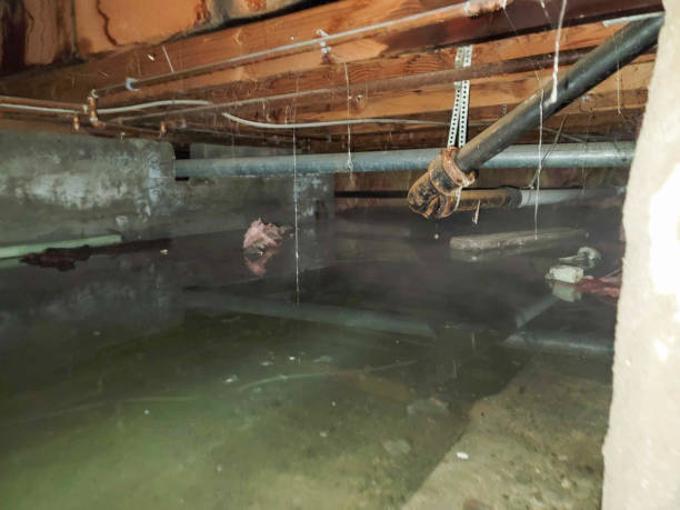 Best Water damage cleanup near me  in South Amboy, NJ