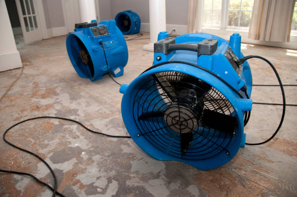 24/7 water damage repair in NJ